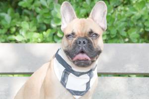 Mélissa FONDIN - MELPHOTOS