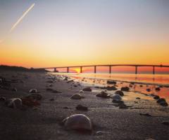 Florian PEROUD - Vent des Web