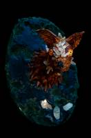 Pablo BAILLEUL - Bailleul